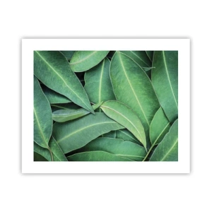 Plakát - Šťavnaté a svěží - 50x40 cm