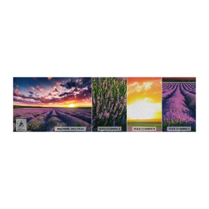 Vzor Fototapety Premium Sand - Levandulový svět - Krajina, Levandulové pole, Levandule - 100x30 cm