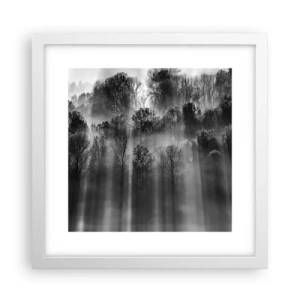 Plakát v bílém rámu - V paprscích světla - 30x30 cm