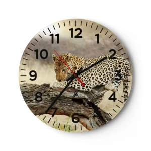 Nástěnné hodiny - Chodím vlastními cestami - 40x40 cm