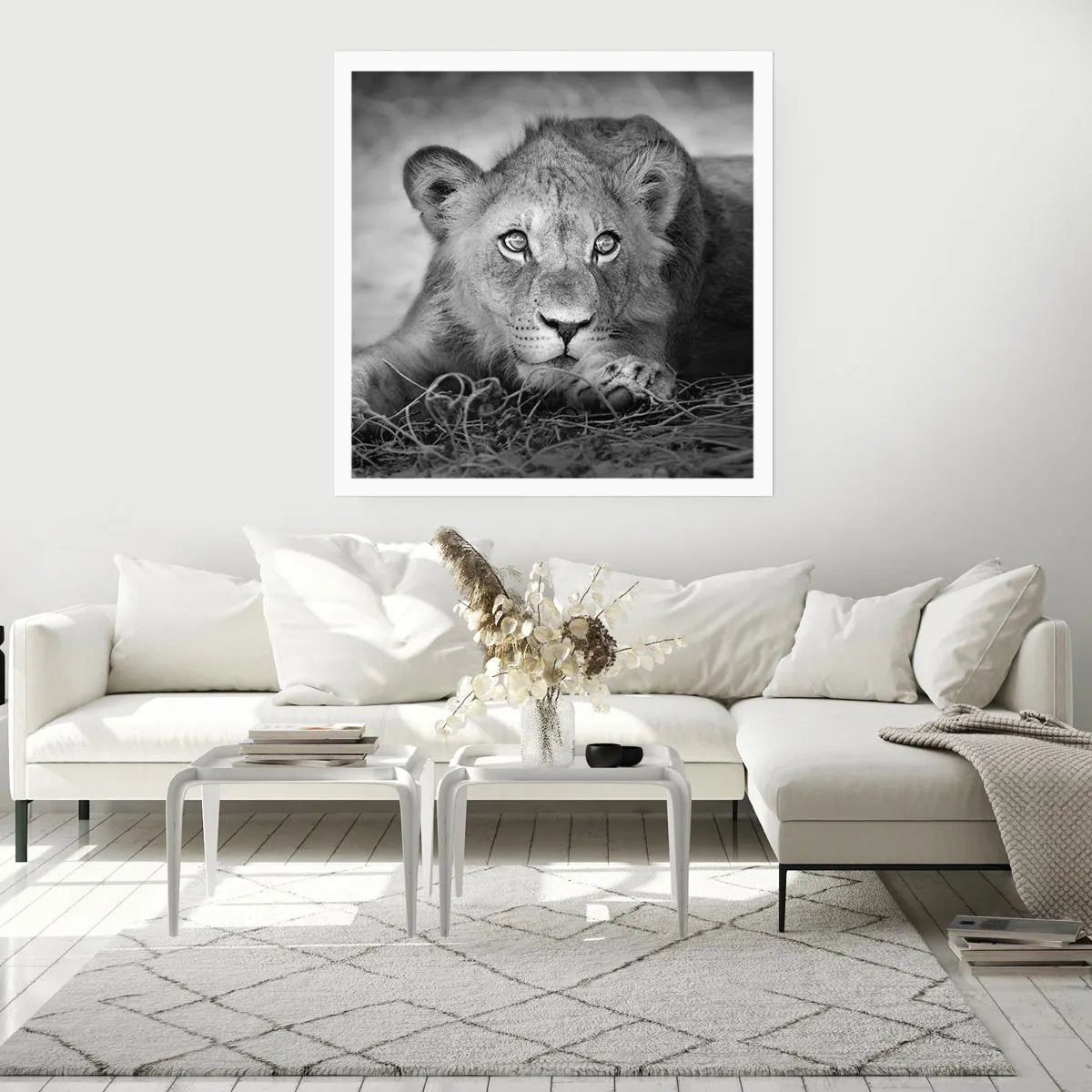 Plakát - Královské štěně - 40x40 cm