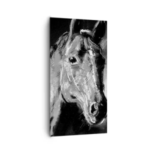 Obraz na plátně - Záření vznešené duše - 65x120 cm