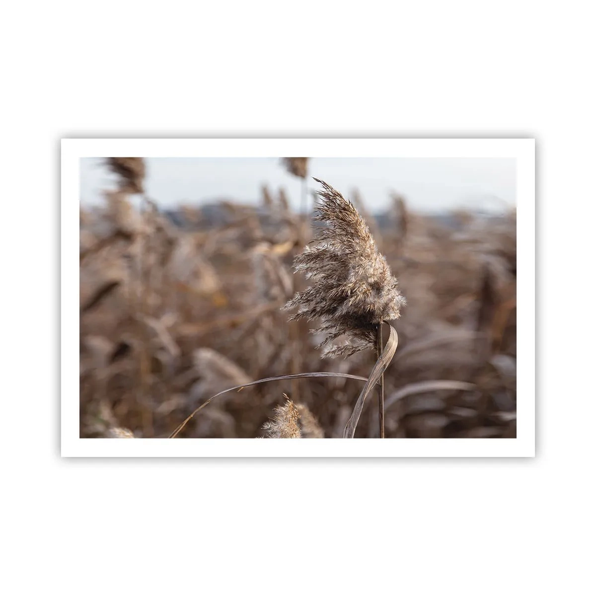 Plakát - Čas odletět s větrem - 91x61 cm