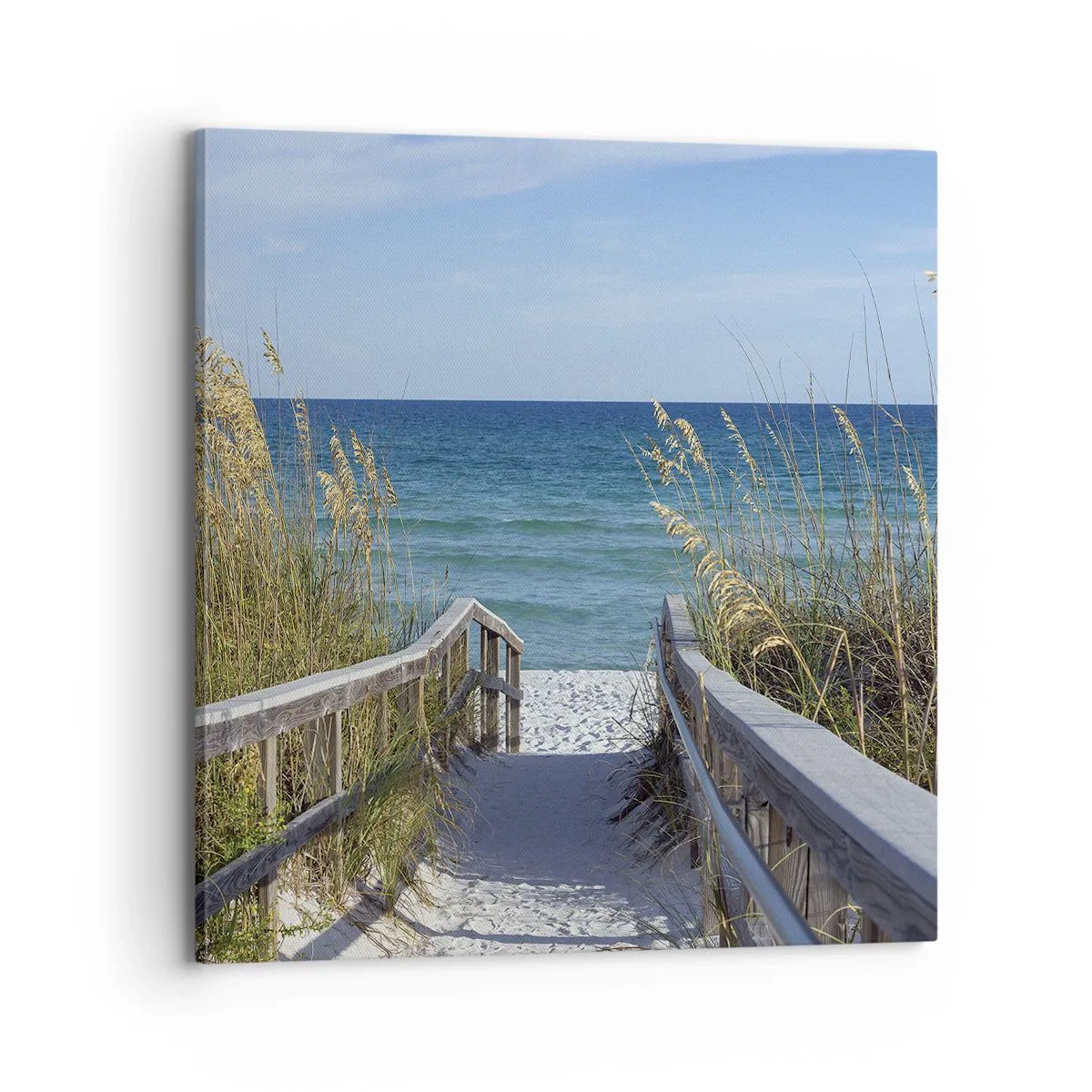 Obraz na plátně - Na slunci, ve větru - 70x70 cm