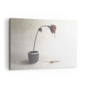 Obraz na plátně - Rosa dolorosa - 120x80 cm