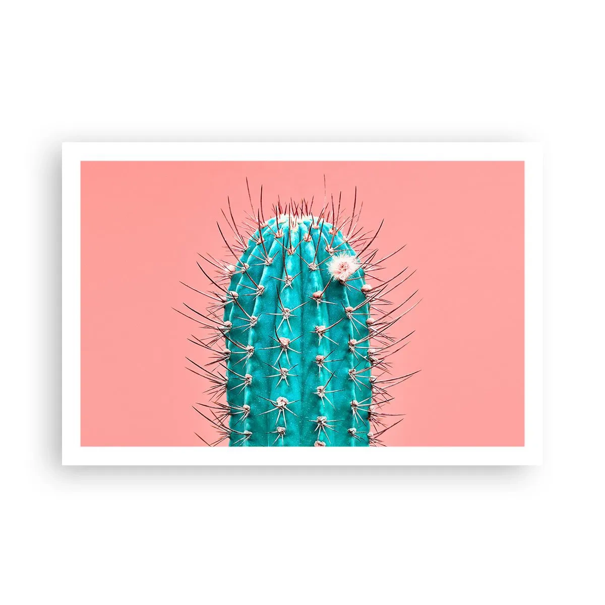 Plakát - Jen koukej - 91x61 cm