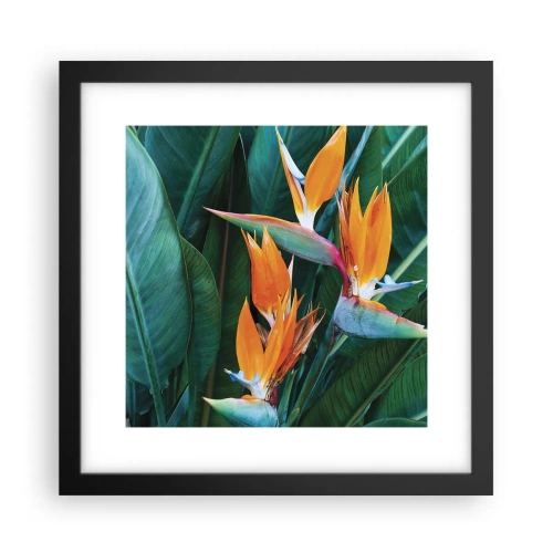 Plakát v černém rámu - Je to květina, nebo pták? - 30x30 cm