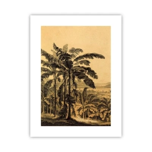 Plakát - V koloniálním stylu - 30x40 cm