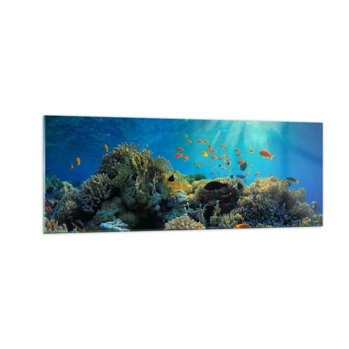 Obraz na skle - Podvodní poklady - 140x50 cm
