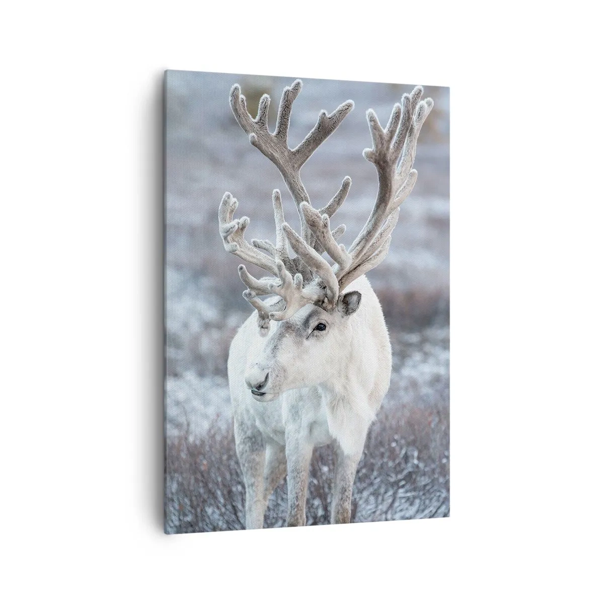 Obraz na plátně - Sluneční portrét - 70x100 cm