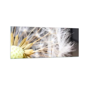 Obraz na skle - Těsně před odletem - 100x40 cm