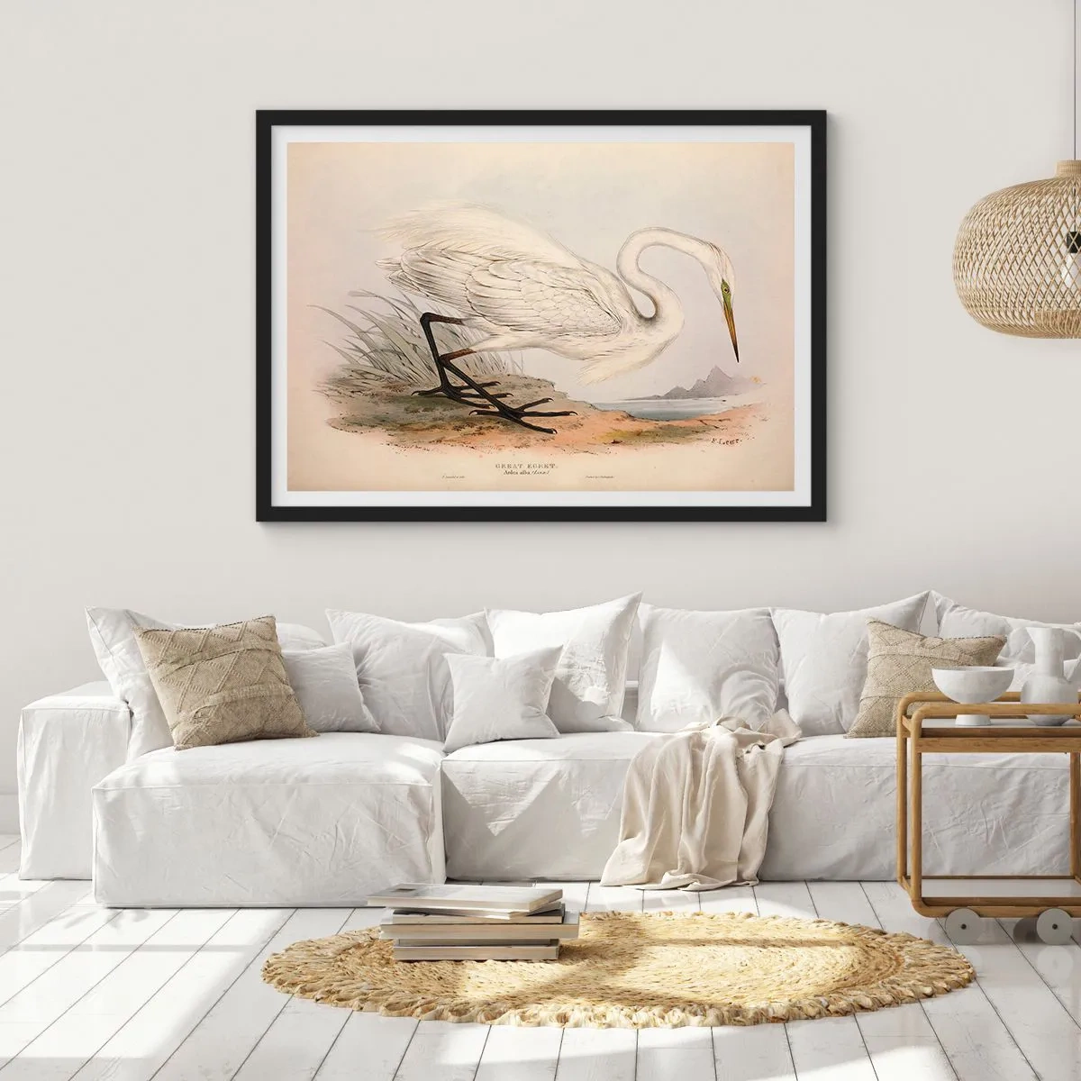 Plakát v černém rámu - Paní rákosin - 40x30 cm