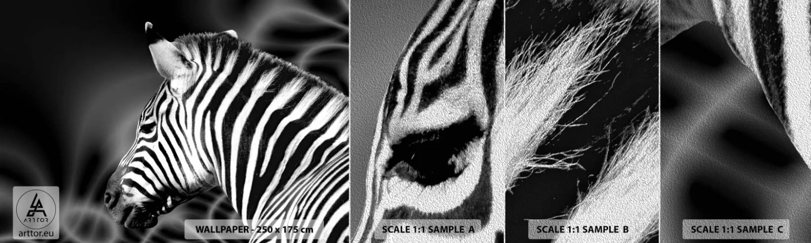 Vzor Fototapety Premium Sand - Bílé je bílé a černé je černé - Žebra, Černý a bílý, Zvířata - 100x30 cm