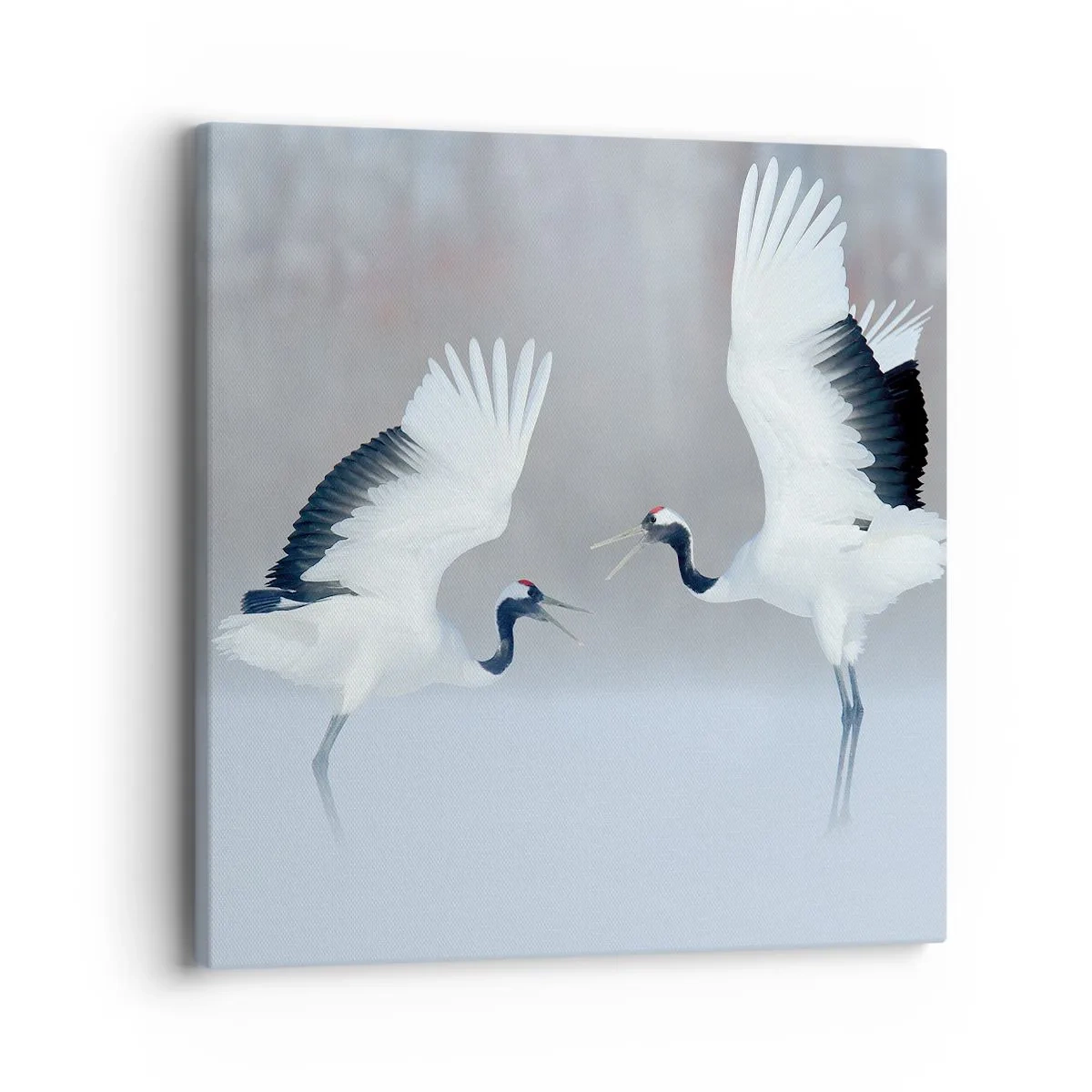 Obraz na plátně - Tanec v mlze - 40x40 cm