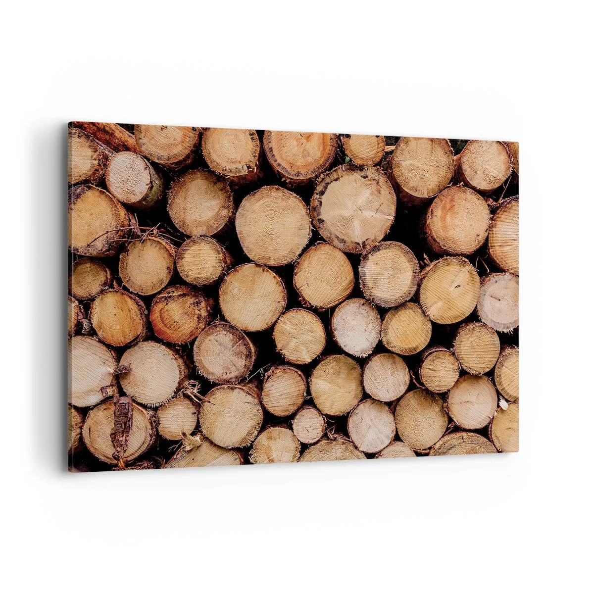 Obraz na plátně - Nový začátek - 100x70 cm