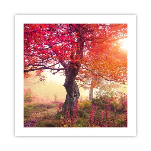 Plakát - Šílenství rozkvětu - 50x50 cm