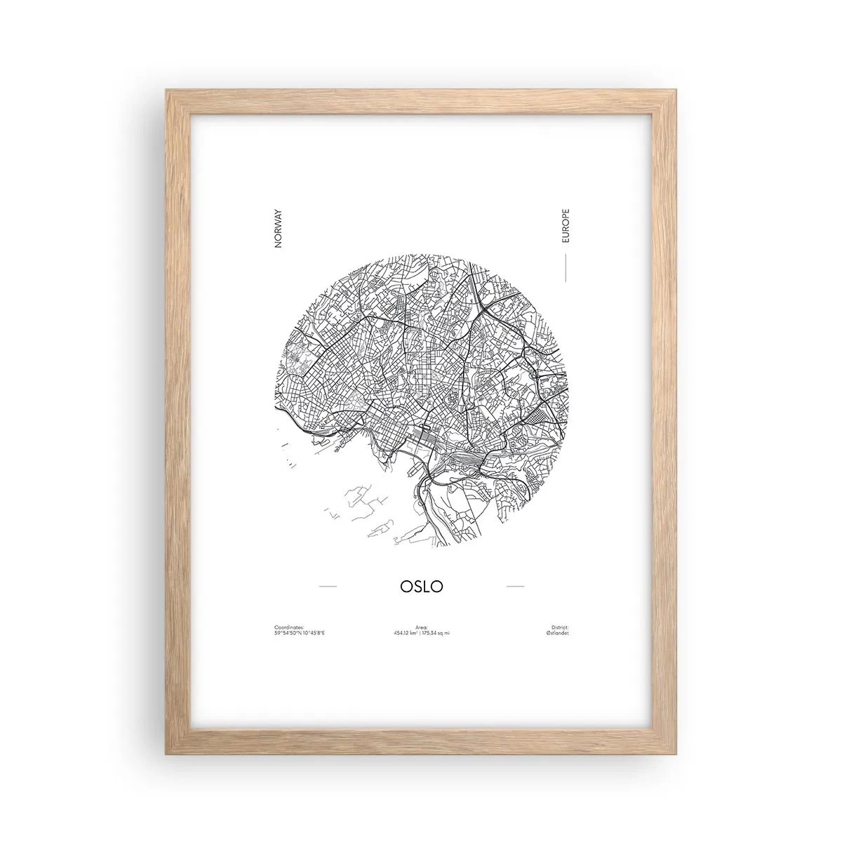 Plakát v rámu světlý dub - Anatomie Osla - 30x40 cm