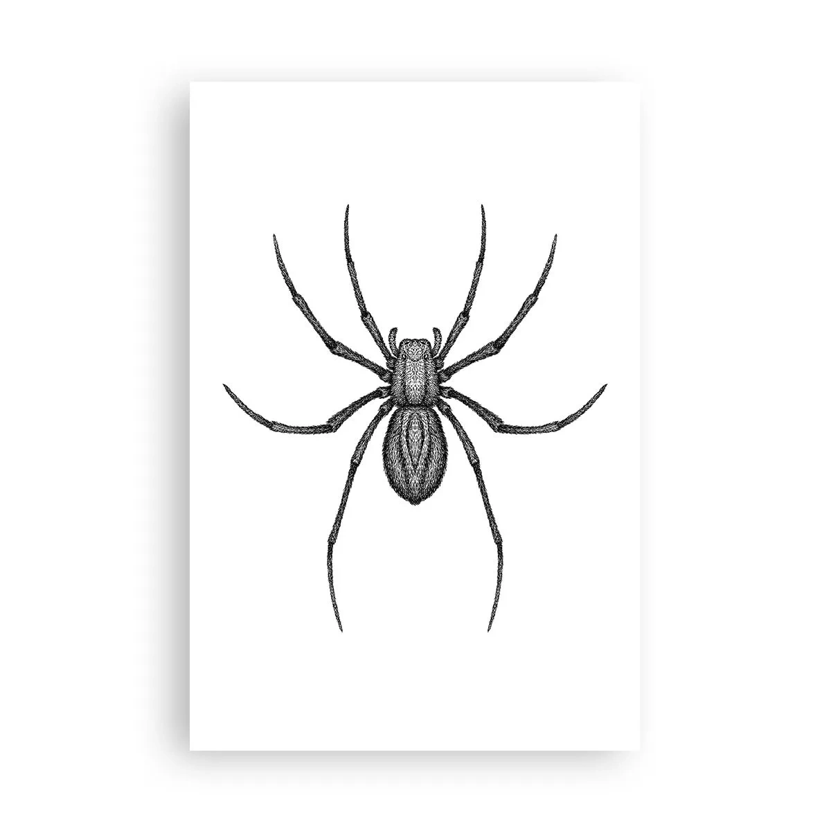 Plakát - Znepokojivá přesnost - 61x91 cm