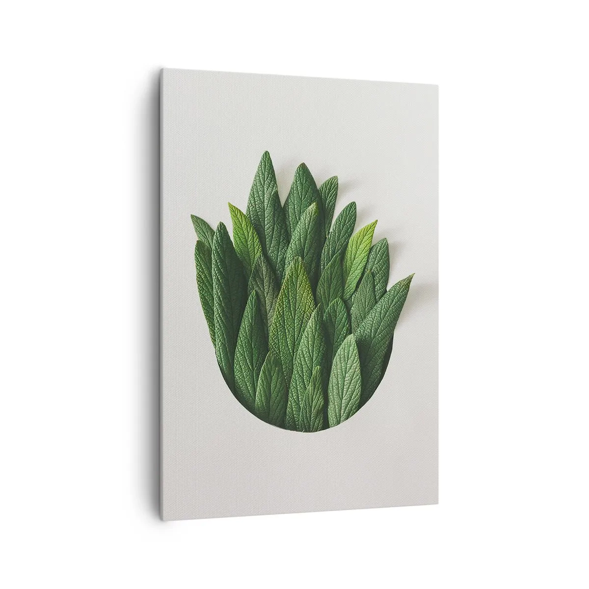 Obraz na plátně - Neukojitelná zvědavost - 70x100 cm