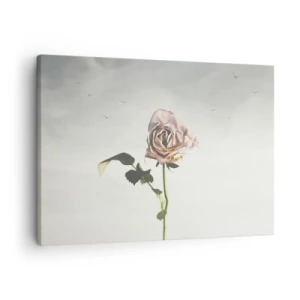 Obraz na plátně - Jemná růže proti jasné obloze s letícími ptáky - 70x50cm - Vítání jara - Moderní nástěnná dekorace do obývacího pokoje a ložnice ARTTOR