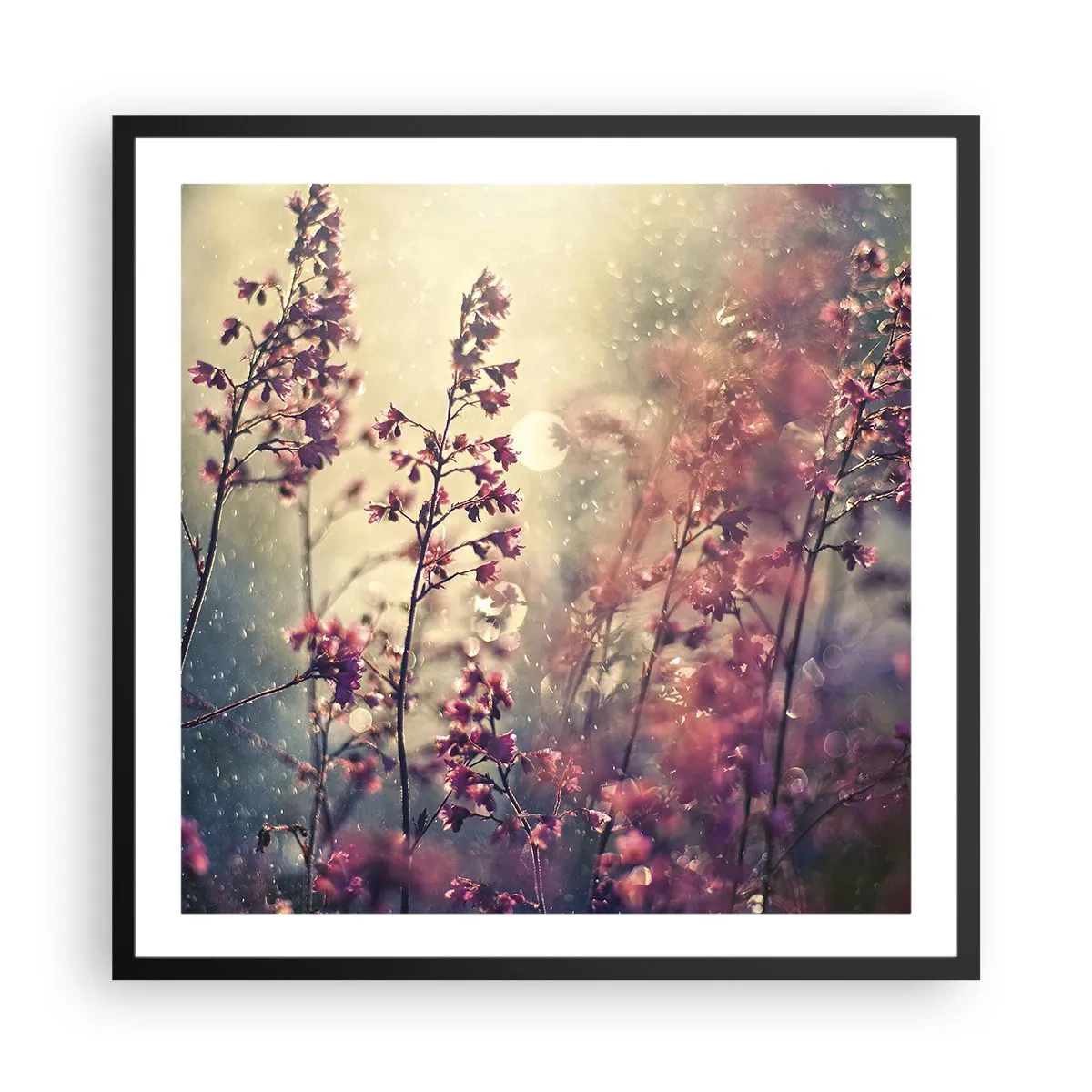 Plakát v černém rámu - Tajná zahrada - 60x60 cm