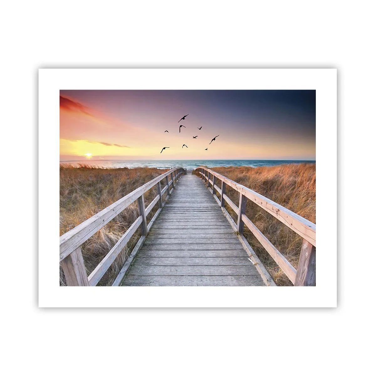 Plakát - Prostor pro vzestupy - 50x40 cm