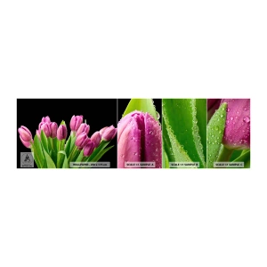 Vzor Fototapety Samolepicí Deluxe Sticker - Liliové potěšení jara - Květiny, tulipány, Kytice květin - 100x30 cm