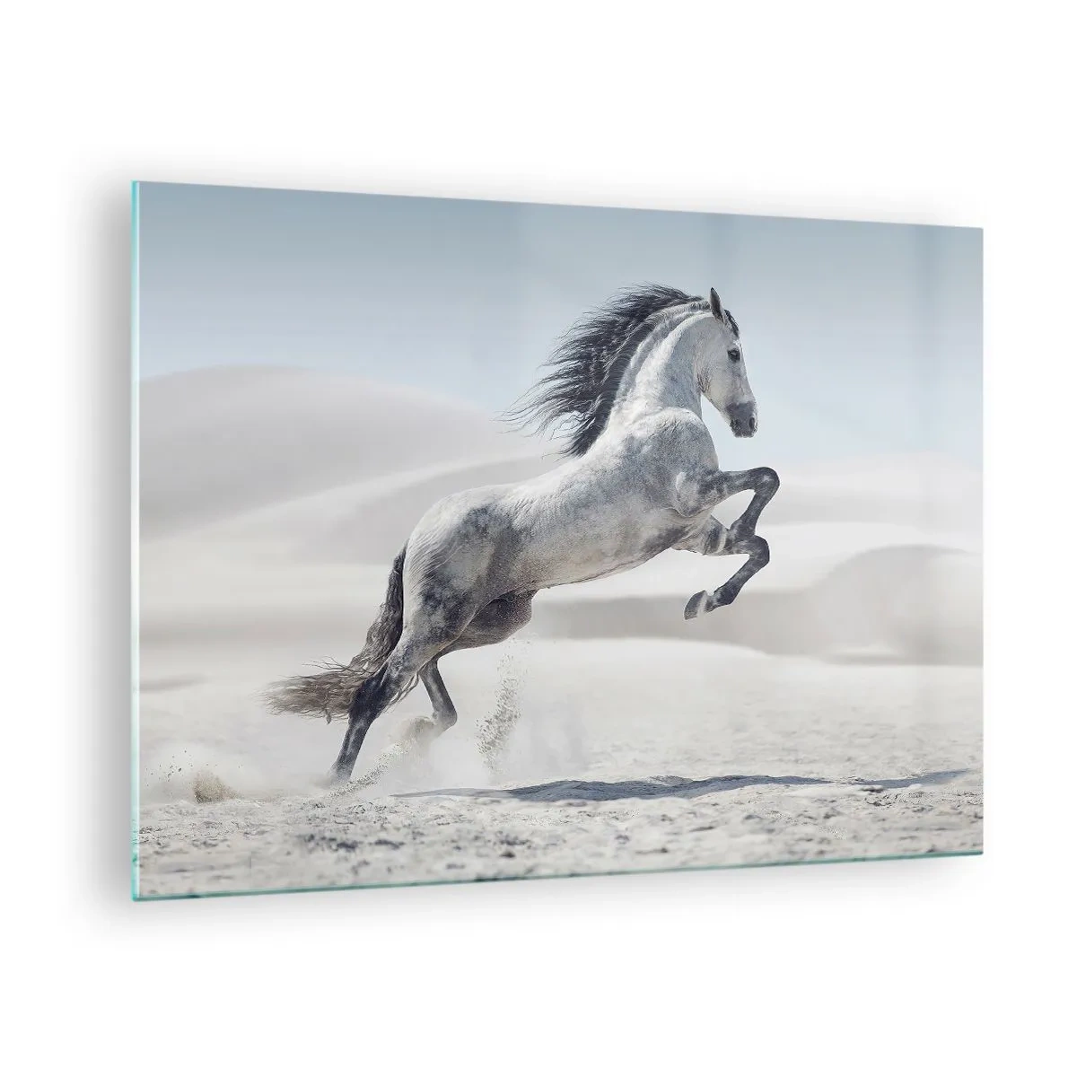 Obraz na skle - Bílý kůň skákající na pozadí pouštních dun - 70x50cm - Arabský kníže - Moderní nástěnná dekorace do obývacího pokoje a ložnice ARTTOR