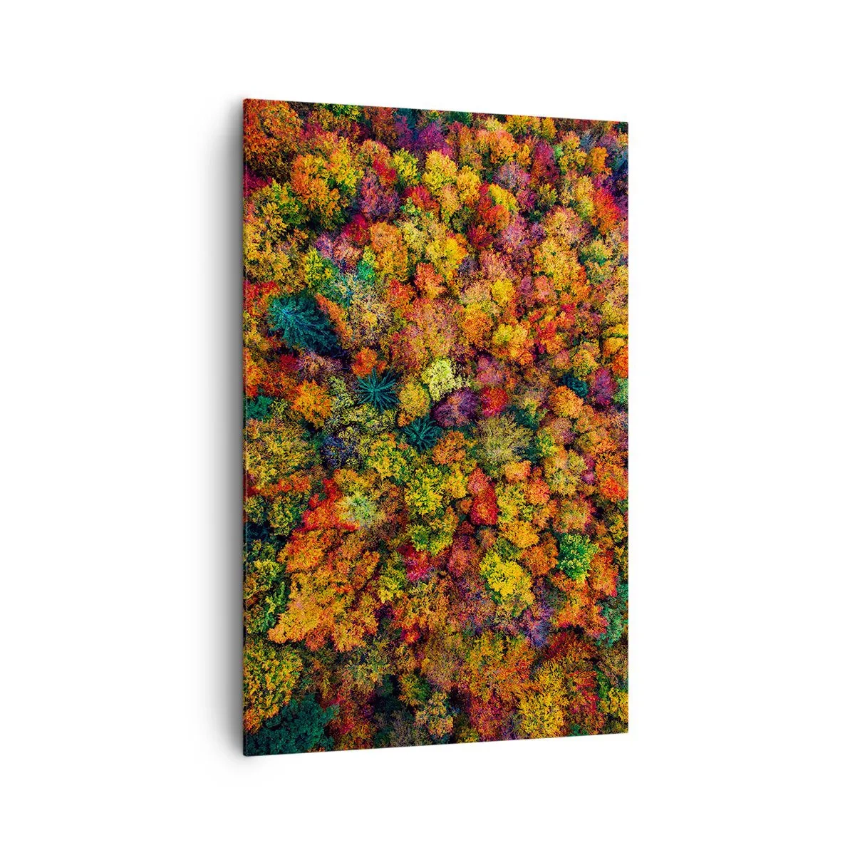 Obraz na plátně - Kytice podzimních stromů - 80x120 cm