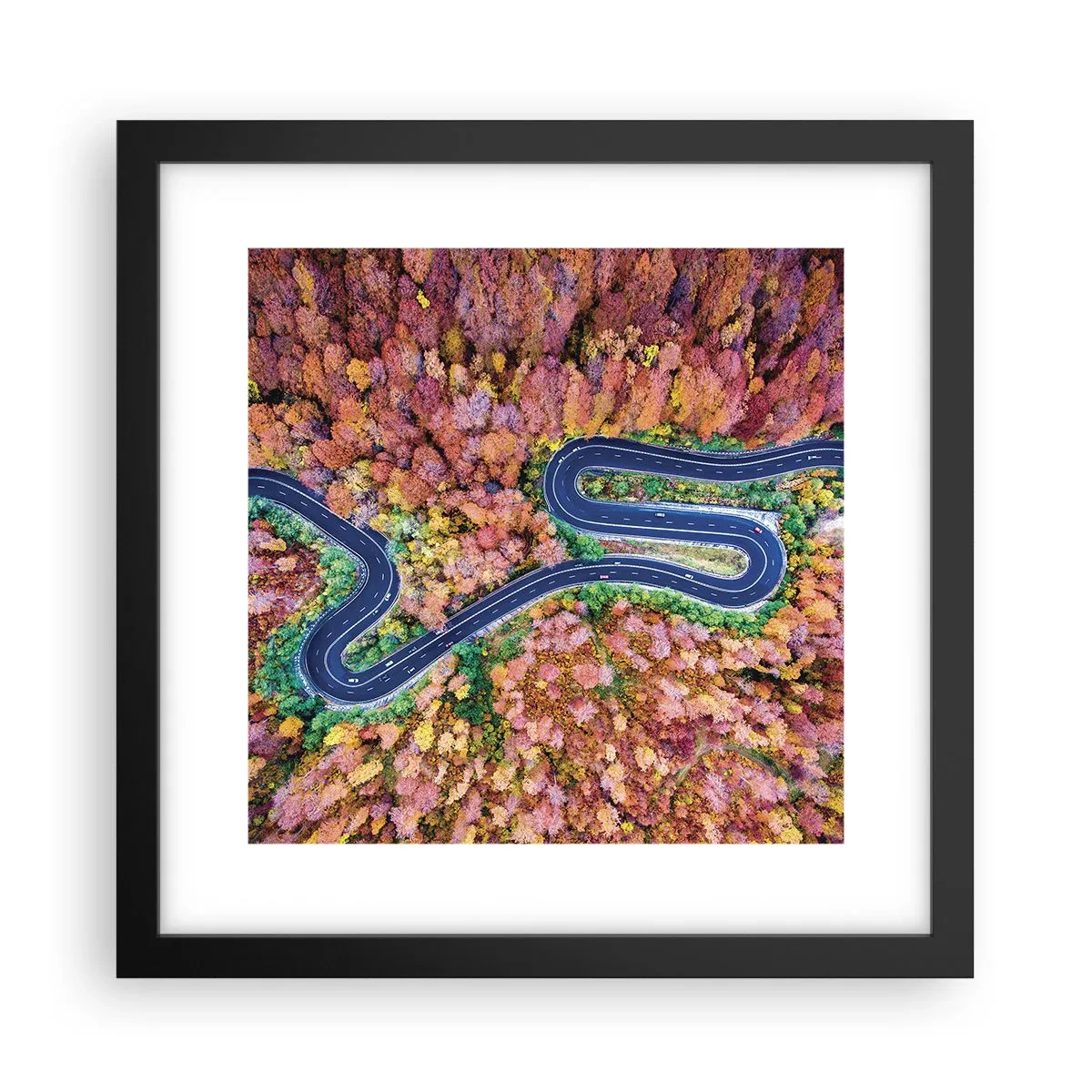 Plakát v černém rámu - Klikatá cesta lesem - 30x30 cm