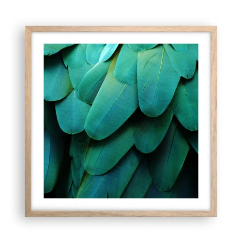 Plakát v rámu světlý dub - Přesnost papouščí povahy - 50x50 cm