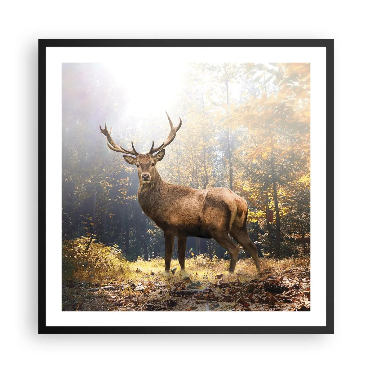 Plakát v černém rámu - Plné důstojnosti - 60x60 cm