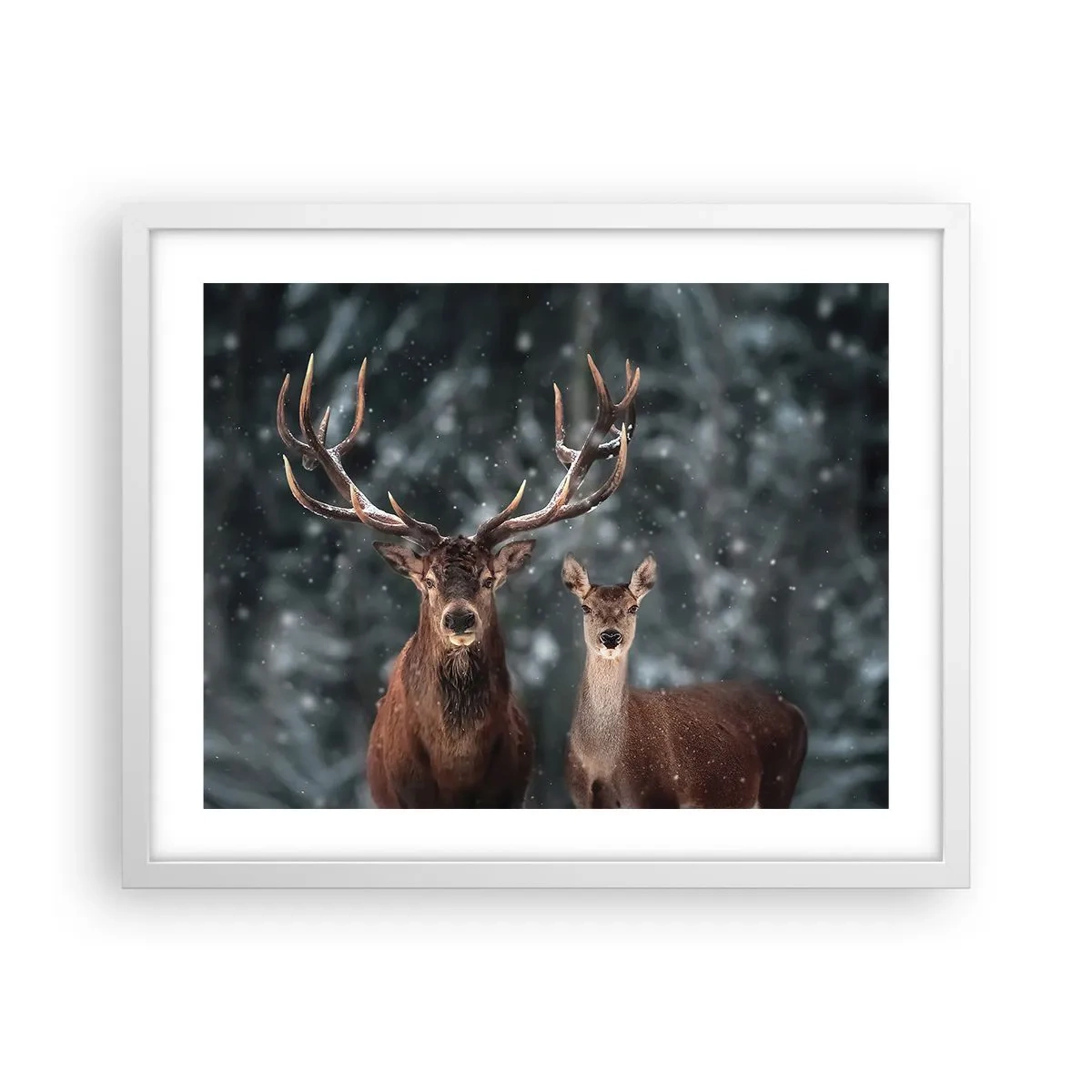 Plakát v bílém rámu - Pán lesa se svou ženou - 50x40 cm