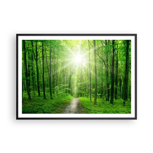Plakát v černém rámu - Zelená katedrála - 100x70 cm