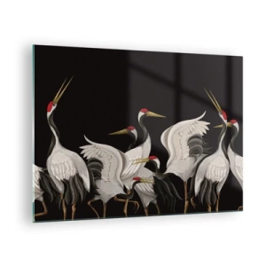 Obraz na skle - Bílí jeřábi s červenými hlavami na černém pozadí - 70x50cm - Ptačí záležitosti - Moderní nástěnná dekorace do obývacího pokoje a ložnice ARTTOR