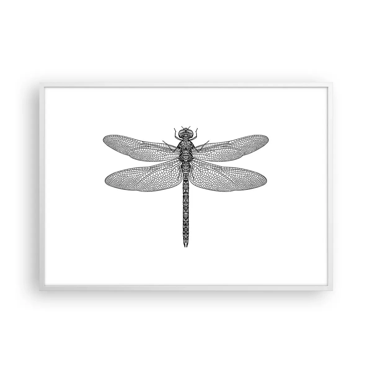 Plakát v bílém rámu - Přesnost přírody - 100x70 cm