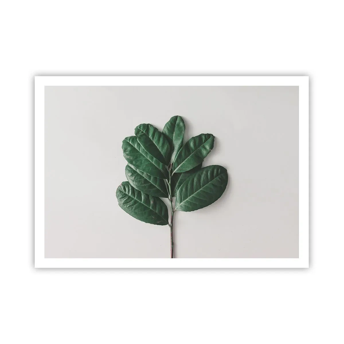 Plakát - Kresba samotné přírody - 100x70 cm