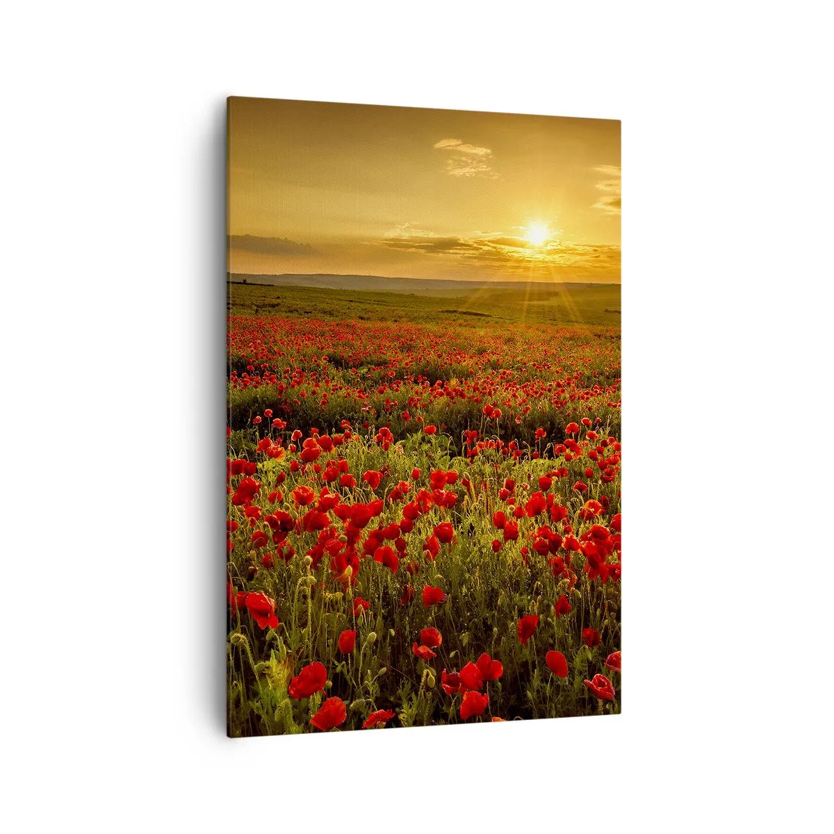 Obraz na plátně - Mezi vlnami šumících luk, mezi záplavou květů - 70x100 cm