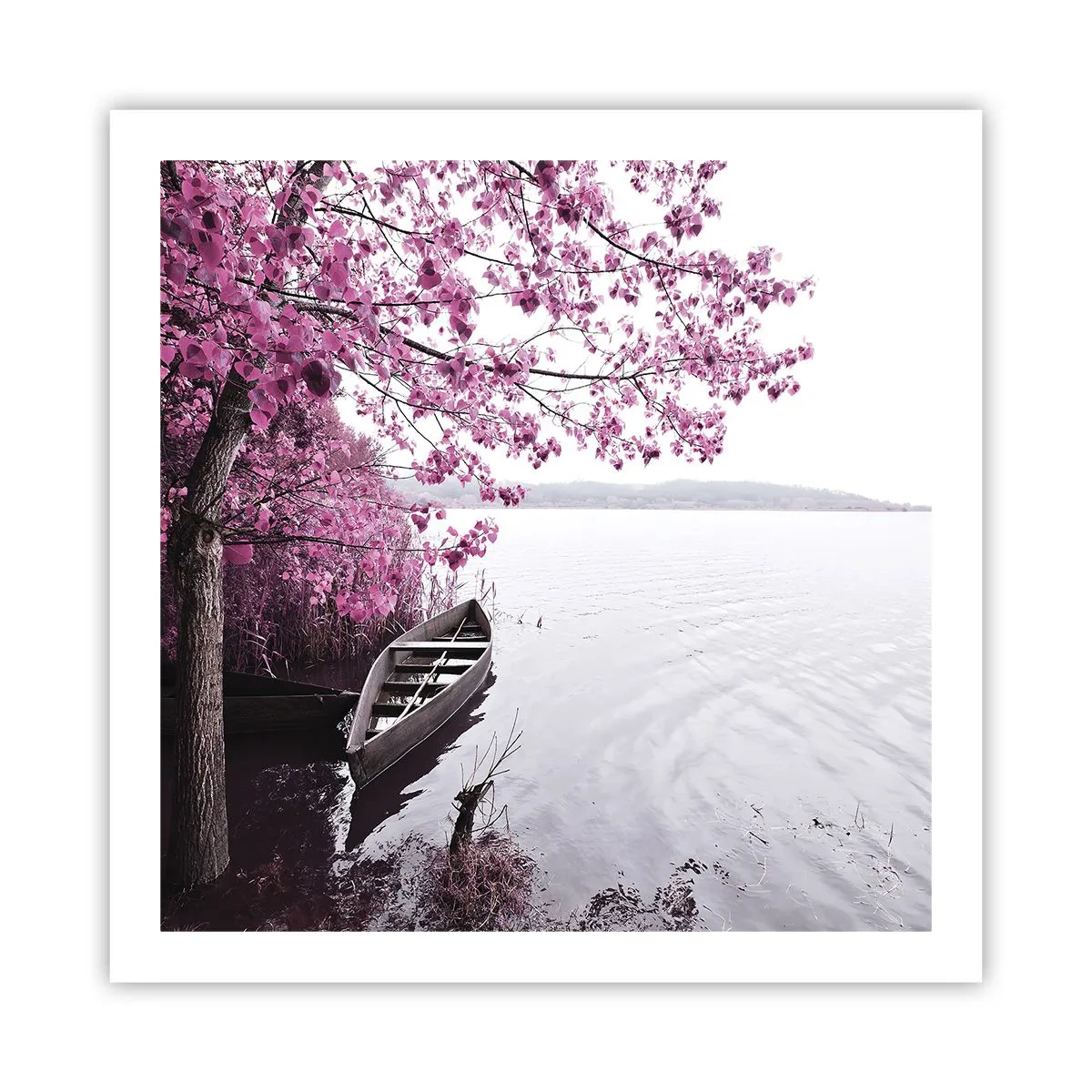 Plakát - V růžovém tichu - 60x60 cm