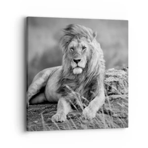 Obraz na plátně - Královská siesta - 40x40 cm