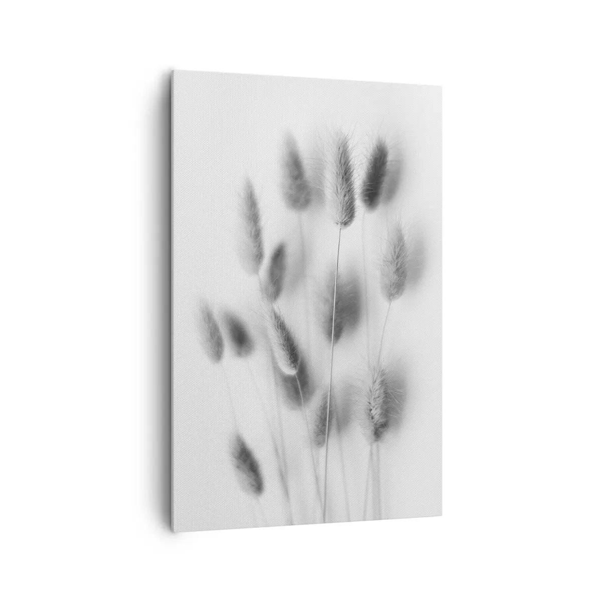 Obraz na plátně - Její načechranost tráva - 80x120 cm