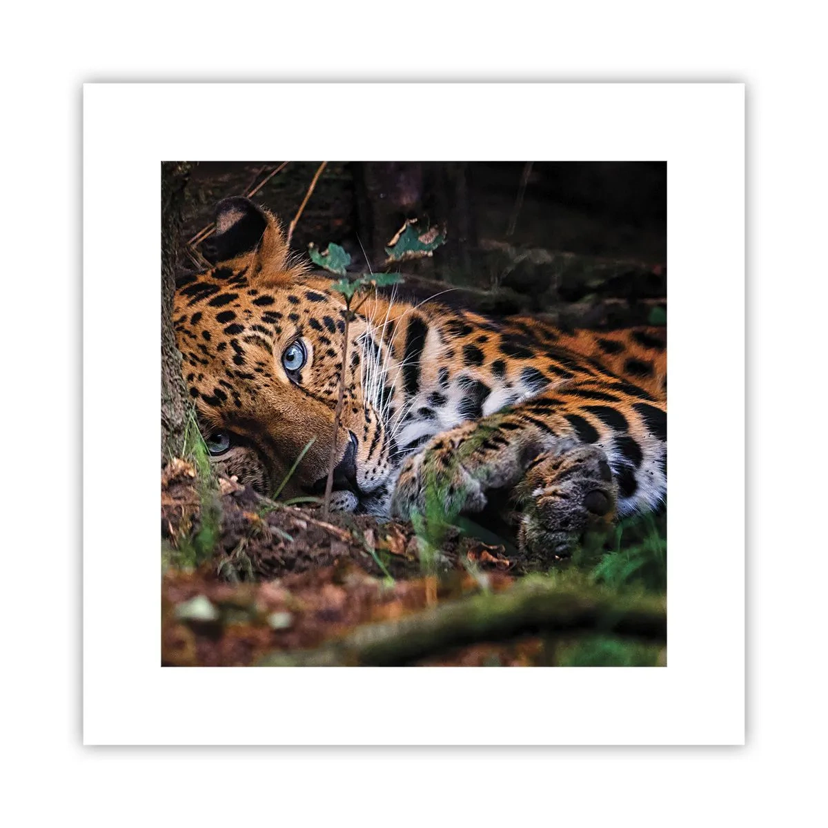 Plakát - Věř mi - 30x30 cm