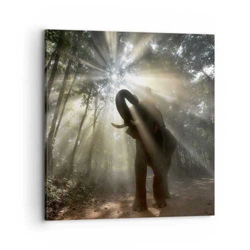 Obraz na plátně - Pod šťastnou hvězdou - 70x70 cm