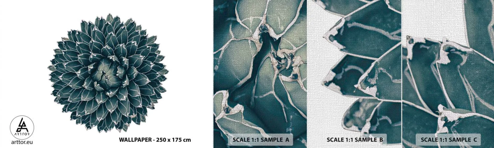 Vzor Fototapety Premium Canvas - Hvězda pouště - Kaktus, Agáve, Grafika - 100x30 cm