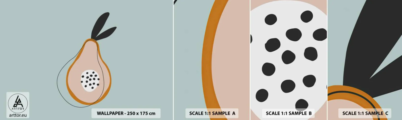 Fototapeta Vzorek Standard Eco - Pronikání do podstaty věcí - Grafika, Hruška, Kus - 100x30 cm