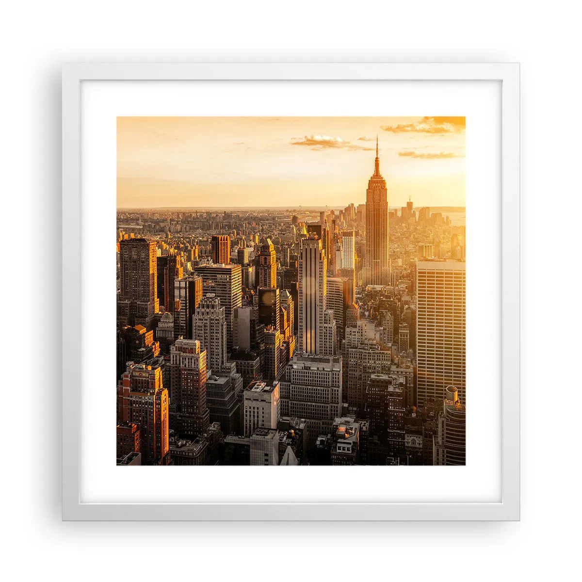 Plakát v bílém rámu - Růst na slunci - 40x40 cm