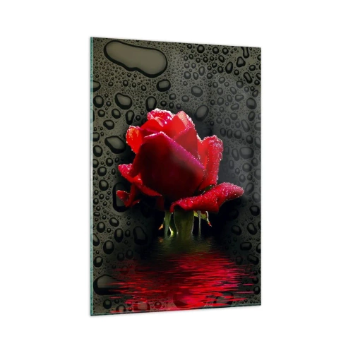 Obraz na skle - Červené a černé - 80x120 cm