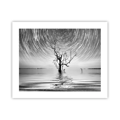 Plakát - Symfonie přírody - 50x40 cm