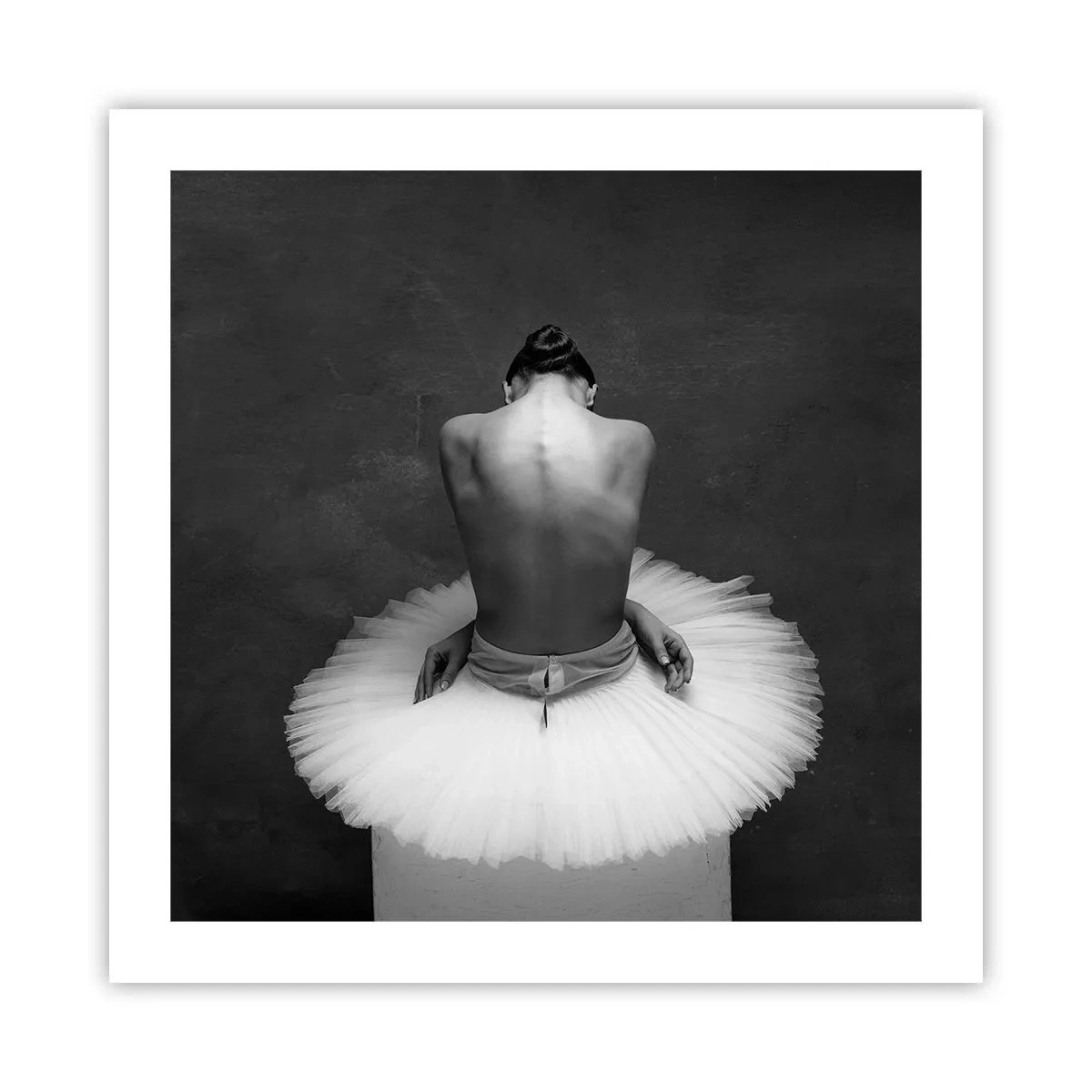 Plakát - Právě kvete - 50x50 cm