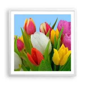 Plakát v bílém rámu - Květinová duha v kapkách rosy - 60x60 cm